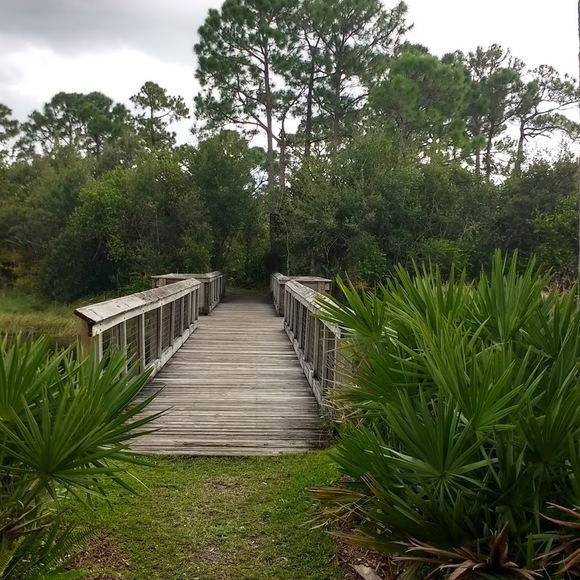 Meet your Posher, Karen - Picture 1 of 1